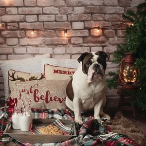 Meet your Posher, Diana